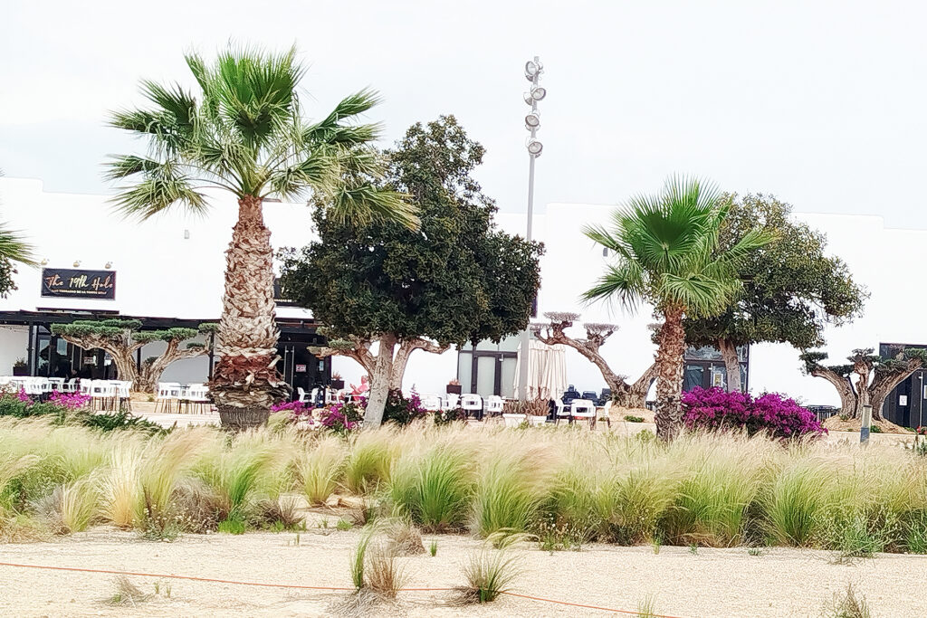 92 resort Las Terrazas de la Torre